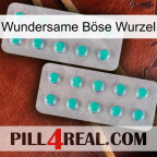 Wundersame Böse Wurzel 29